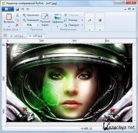 PicPick v.3.0.1 (x32/x64/ML/RUS) -  