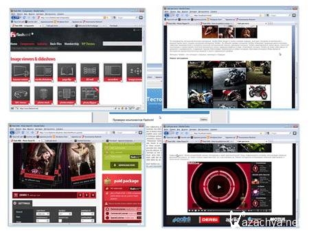 Flash компоненты для сайта (2011) DVDRip