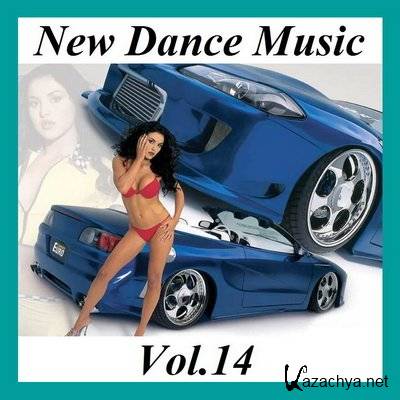 New Dance Music Vol.14 (2011) mp3