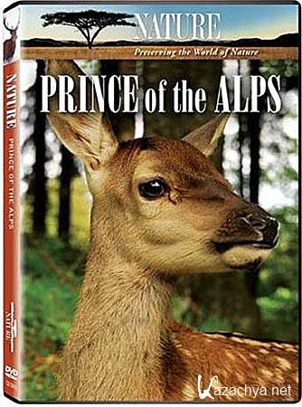   / Prince Of The Alps (HDTVRip 720p)  