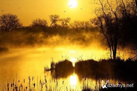 Morning Mist On The Lake Screensaver (x32/x64/ENG)