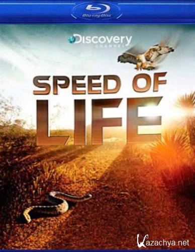 Discovery -   / Discovery - Speed of Life (2010) HDRip