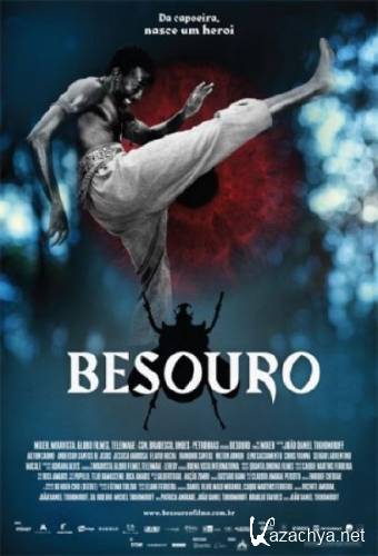  /  / Besouro (2009/HDRip)