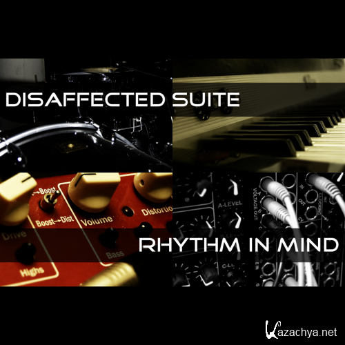 Rhythm In Mind - Disaffected Suite (2010)