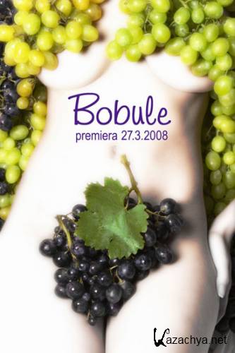  / Bobule (DVDRi/2008/1.41 Gb)