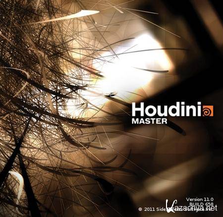 SideFX Houdini Master 11.0.658