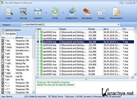 Wise Disk Cleaner Pro 5.91.269 Portable