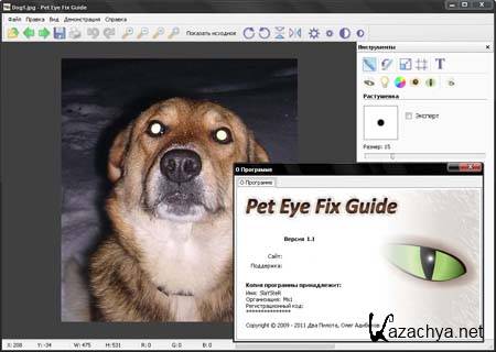 Pet Eye Fix Guide 1.1 + Portable (2011) 