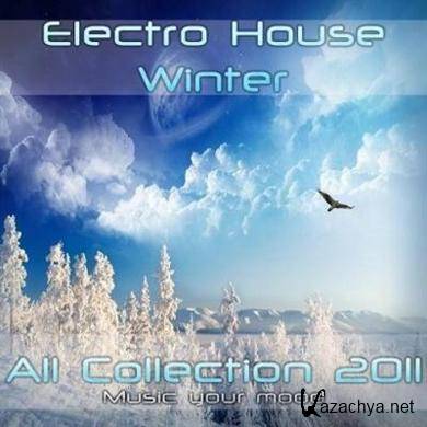 VA - Electro House Winter 2011 - All Collection (The end) (2011)