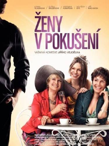    / Zeny v pokuseni (2010/DVDRip)