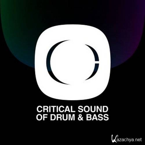 VA - Critical Sound of Drum and Bass (2011)