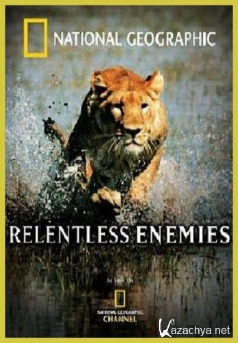  / Relentless Enemies (2006/HDRip)