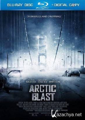   / Arctic Blast (2010/HDRip/1400Mb)
