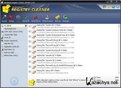 Ashampoo Registry Cleaner v1.00 Portable