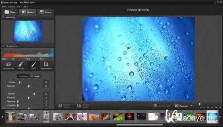 AVS Photo Editor v 2.0.2.108 ML/RUS