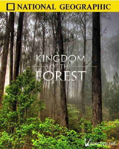 National Geographic:   / Kingdom of the Forest (2010) SATRip
