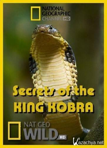    / Secrets of the King Cobra (2009/HDTVRip)