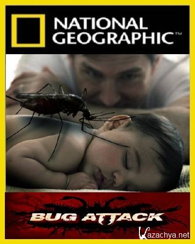   / Bug Attack (2005) SATRip 