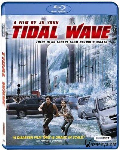 2012:  / Haeundae (2009) REMUX + DVD9 + HQRip