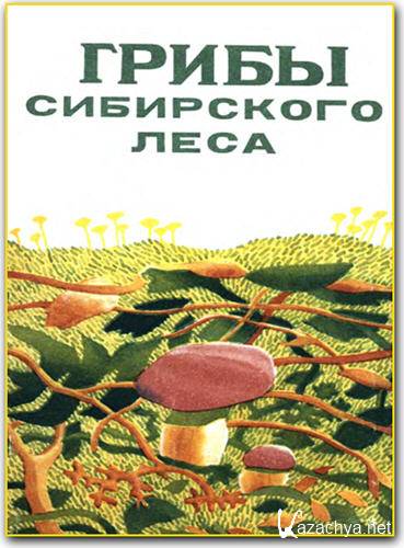 ����� ���������� ����