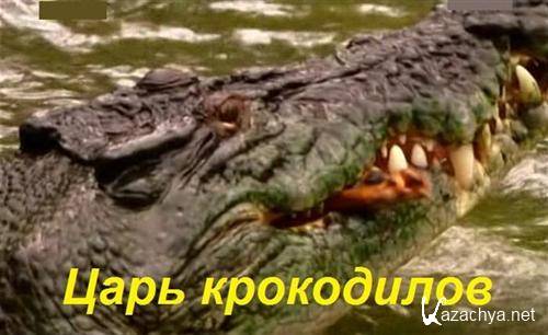 National Geographic:   / National Geographic: Crocodile King (2010 / SATRip)