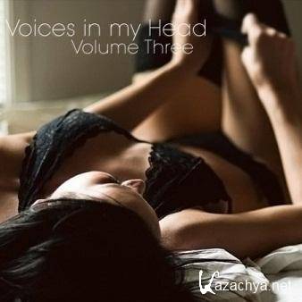 VA - Voices in my Head Volume 3 (2011)