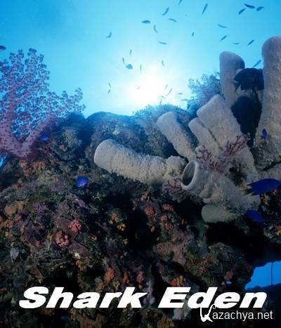  / Shark Eden(2010) SATRip