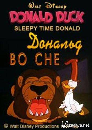    / - / Sleepy Time Donald (1947 / DVDRip)