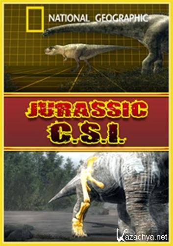 National Geographic.    / Jurassic C.S.I. (2010 / TVRip)