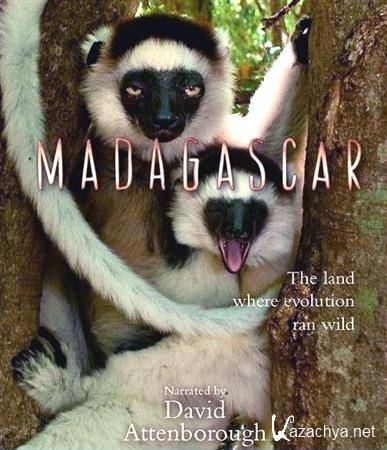  / Madagascar (2011) HDTVRip