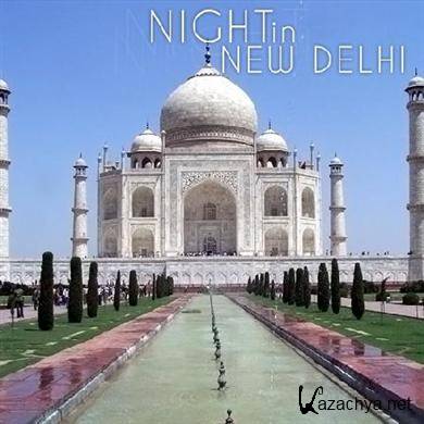 Night in New Delhi (2011)