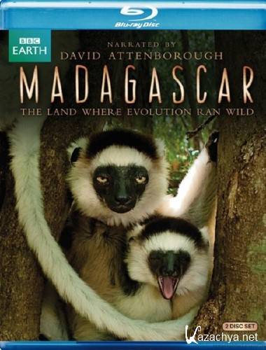  / Madagascar (2011/BDRip)