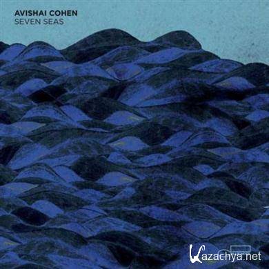 Avishai Cohen - Seven Seas (2011) FLAC