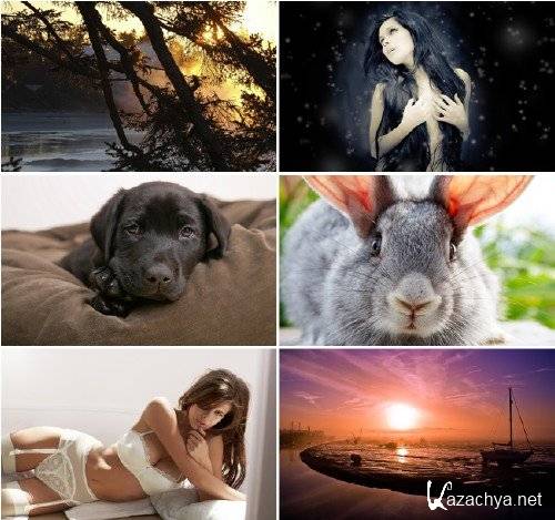 ���� �� ����� ���� (����� 19)