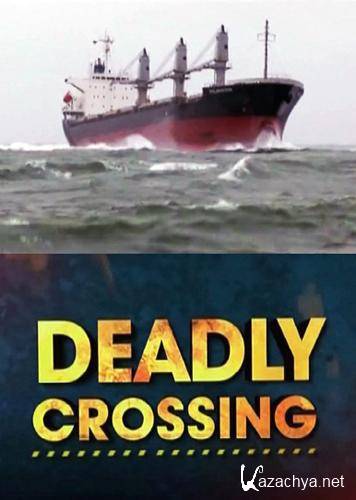   / Deadly crossing (2008) IPTVRip