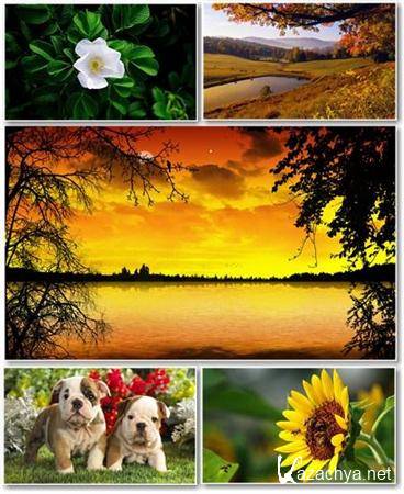 Best HD Wallpapers Pack 205