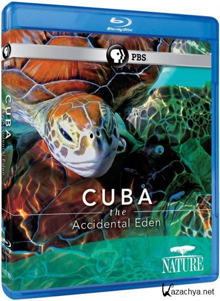 .   / Cuba. The Accidental Eden (2010/HDRip/700Mb)
