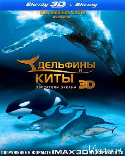   :   / Dolphins and Whales: Tribes of the Ocean (2D/2008) BD-Remux