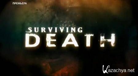    /    : 31.03.2011. SATRip