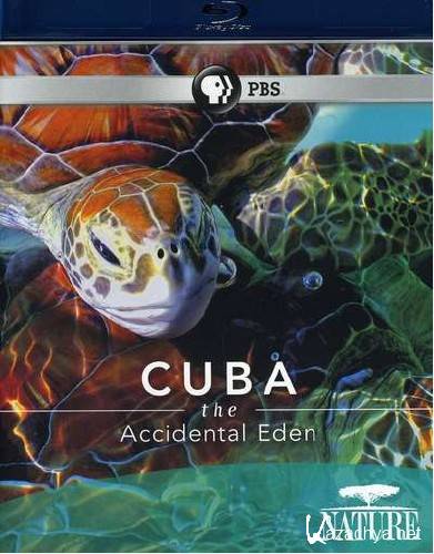 .   / Cuba. The Accidental Eden (2010/BDRip)