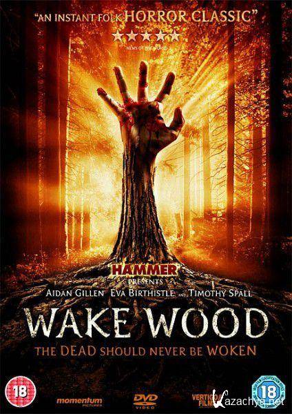  /   / Wake Wood (2011/DVDRip/700Mb)