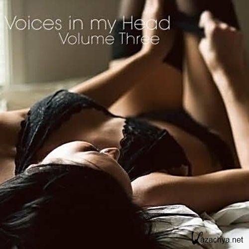 Voices in my Head Volume 3 (2011)Mp3