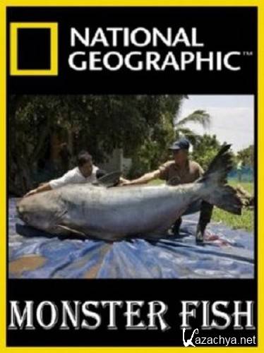 National Geographic: -.   / National Geographic: Monster fish (2010) SATRip