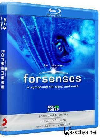     / Bluelements - Forsenses (2009) BDRip