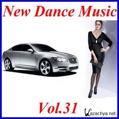 New Dance Music Vol.31  (2011)