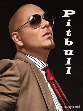 Pitbull -   (2011) DVDRip
