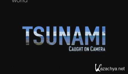 .   / Tsunami. Caught on camera (2010) SATRip 
