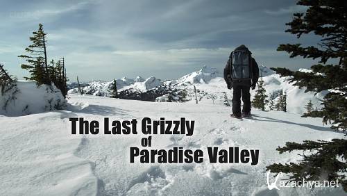     / The Last Grizzly of Paradize Valley (2011/sub) HDTVRip 720p