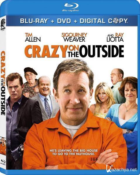    / Crazy on the Outside (2010/HDRip/1400Mb/700Mb)
