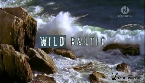   / Wild Baltic (2009) SATRip